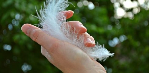 Feather-in-hand